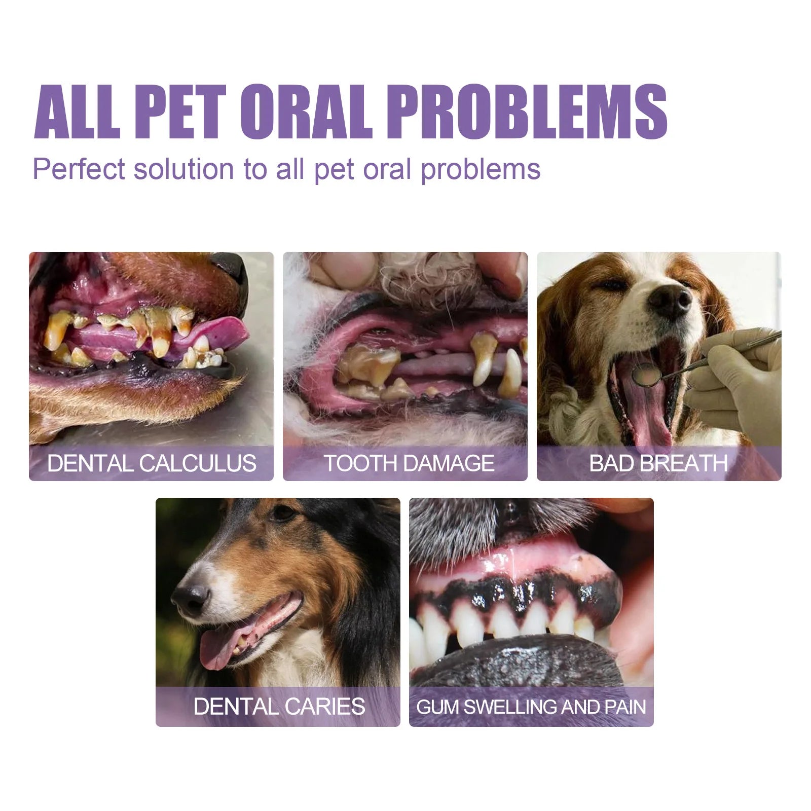 Pet Oral Repair Whitening Gel Pens