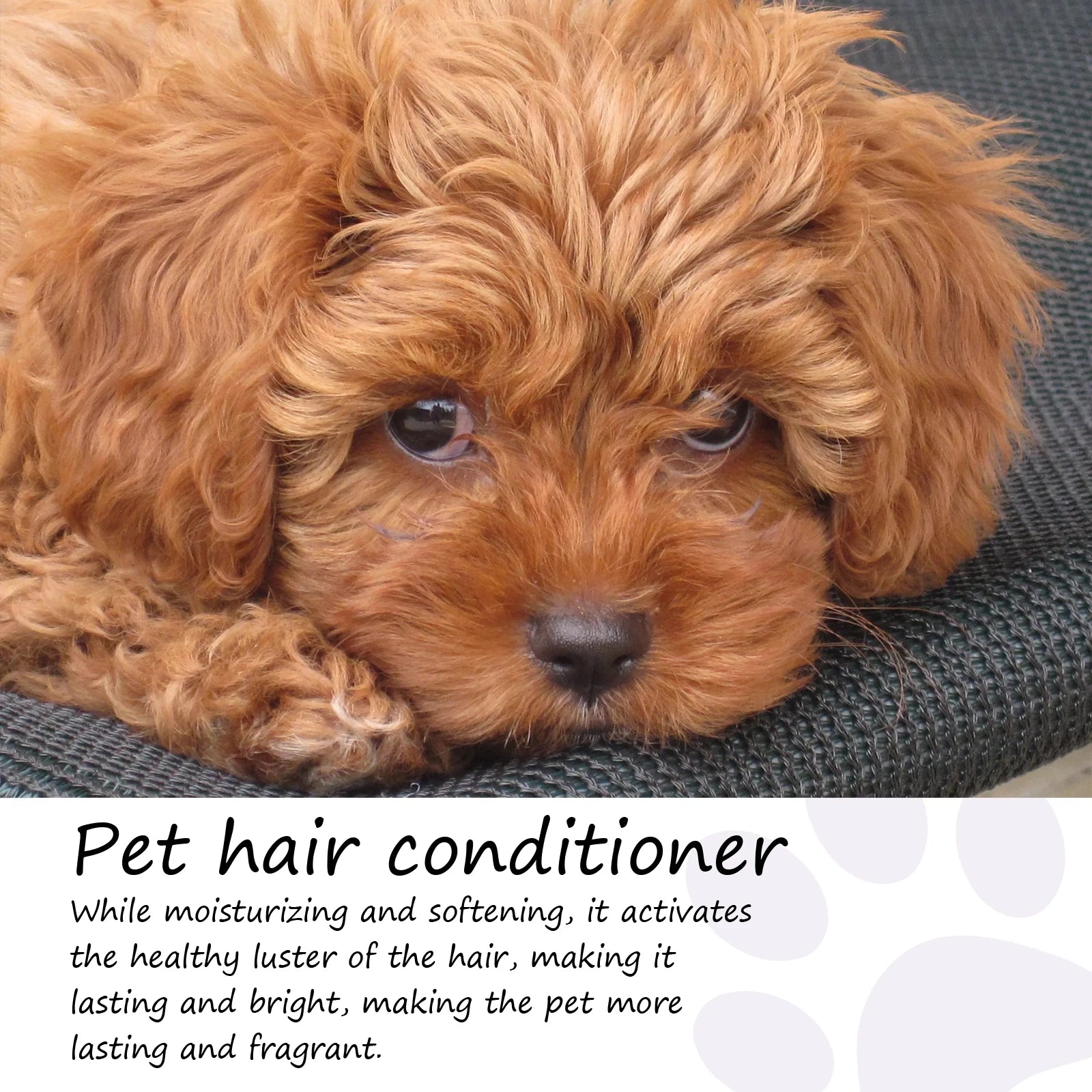 Smoothing Pet Hair Cream Conditioner