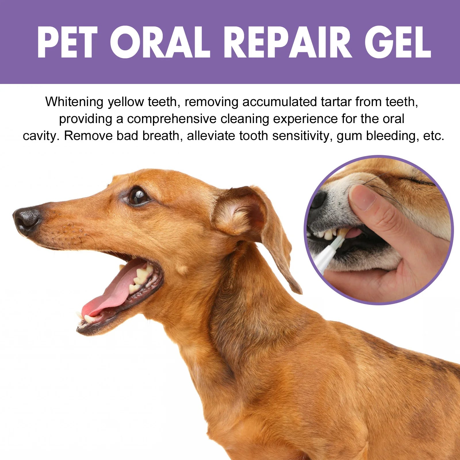 Pet Oral Repair Whitening Gel Pens
