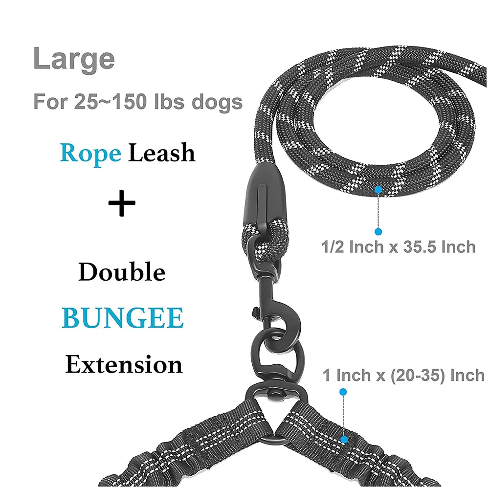 Tangle-Free Double Twin Lead Walking Dog Leash
