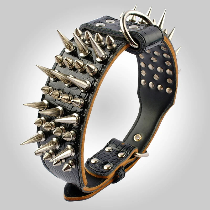 Rivet Spike Fashion Dog Collar