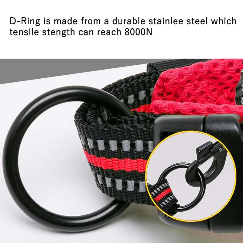 Heavy Duty Mesh-Padded Reflective Dog Collar