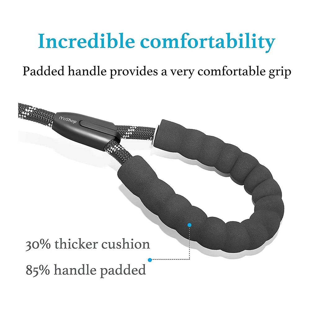 Tangle-Free Double Twin Lead Walking Dog Leash