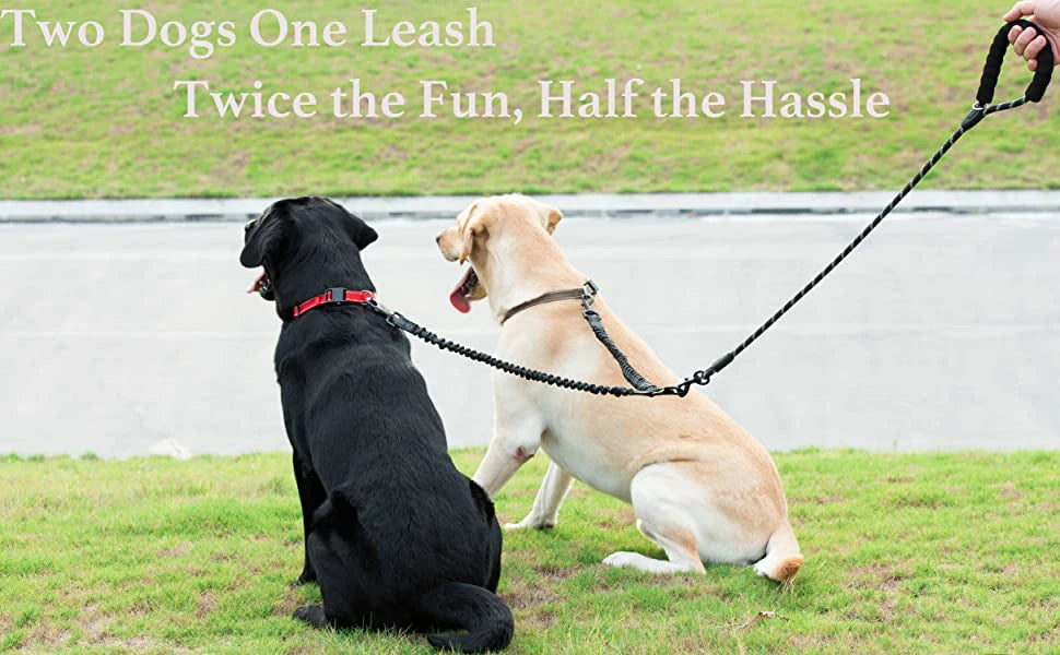 Tangle-Free Double Twin Lead Walking Dog Leash