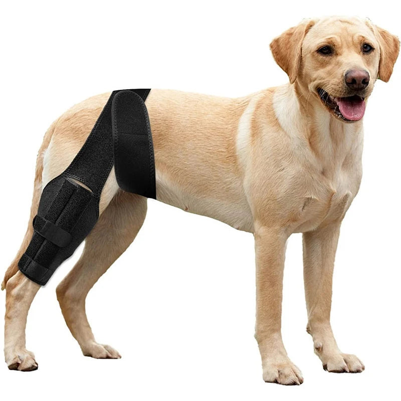 Adjustable Support Pet Knee Pads