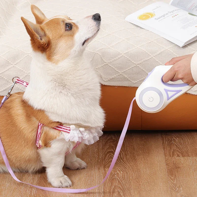 LED Luminous Automatic Retractable Dog Leash