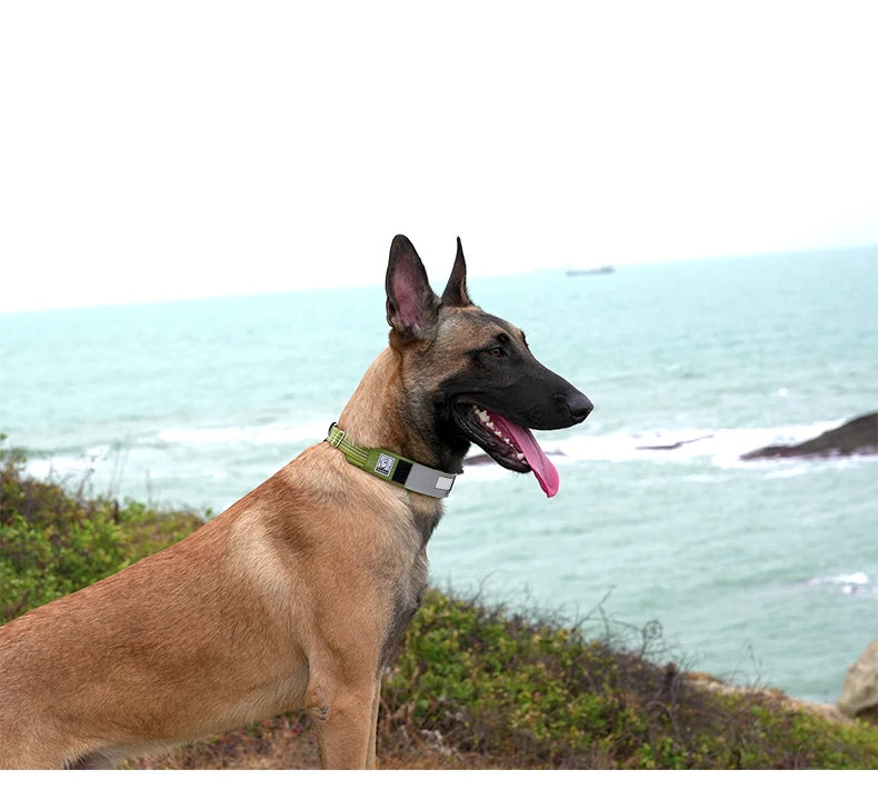 Choke-Free DuPont Reflective Adjustable Dog Collar