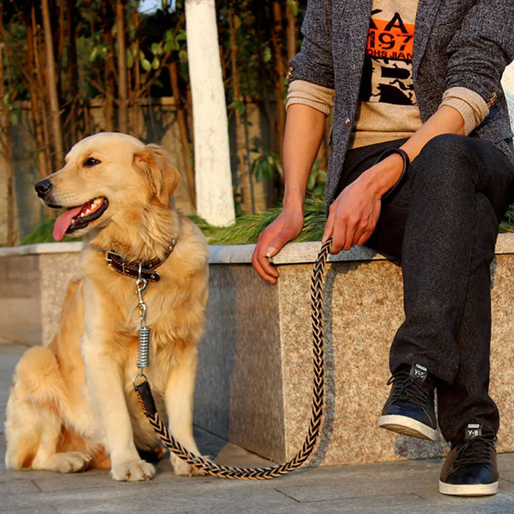 Strong Durable No-Pull Braided Leather Dog Leash