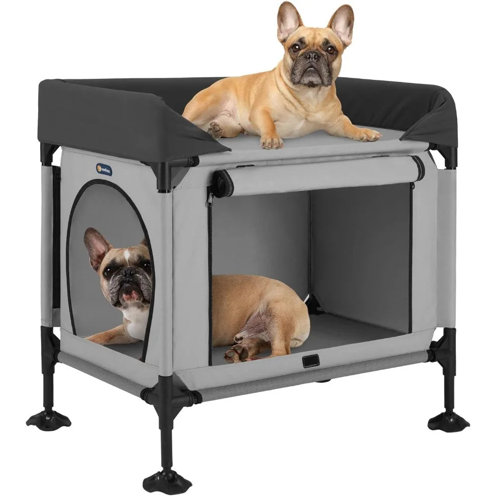 2-Tier Pet Bunk Bed Window Perch