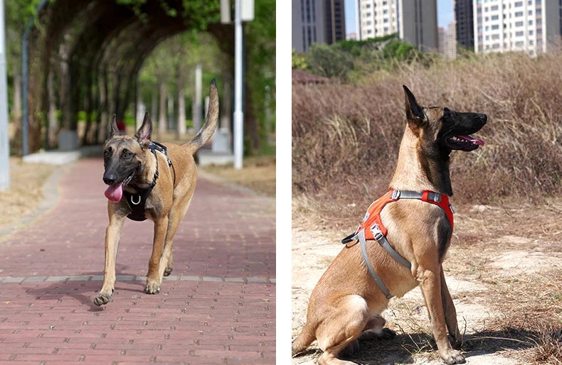 Escape-Proof Tactical Dog Vest Harness w/Zippered Pocket