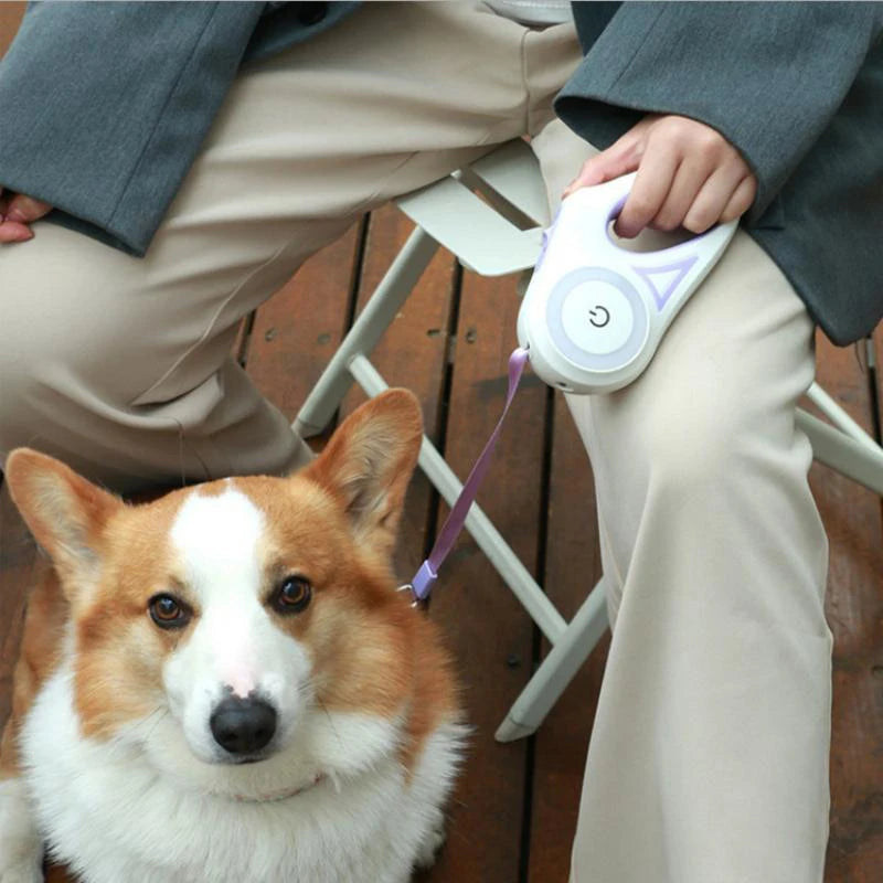 LED Luminous Automatic Retractable Dog Leash