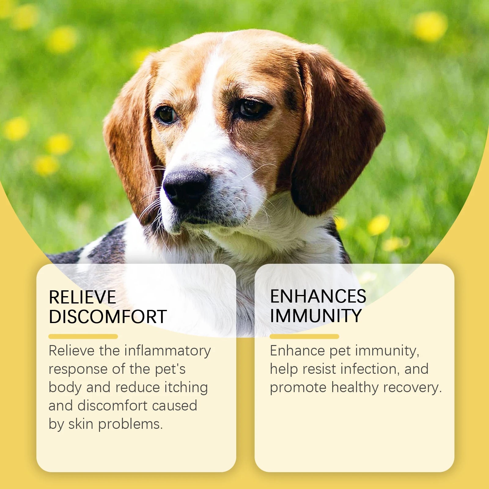 Natural Anti-Inflammatory Pet Yeast Infection Herbal Supplement Drops