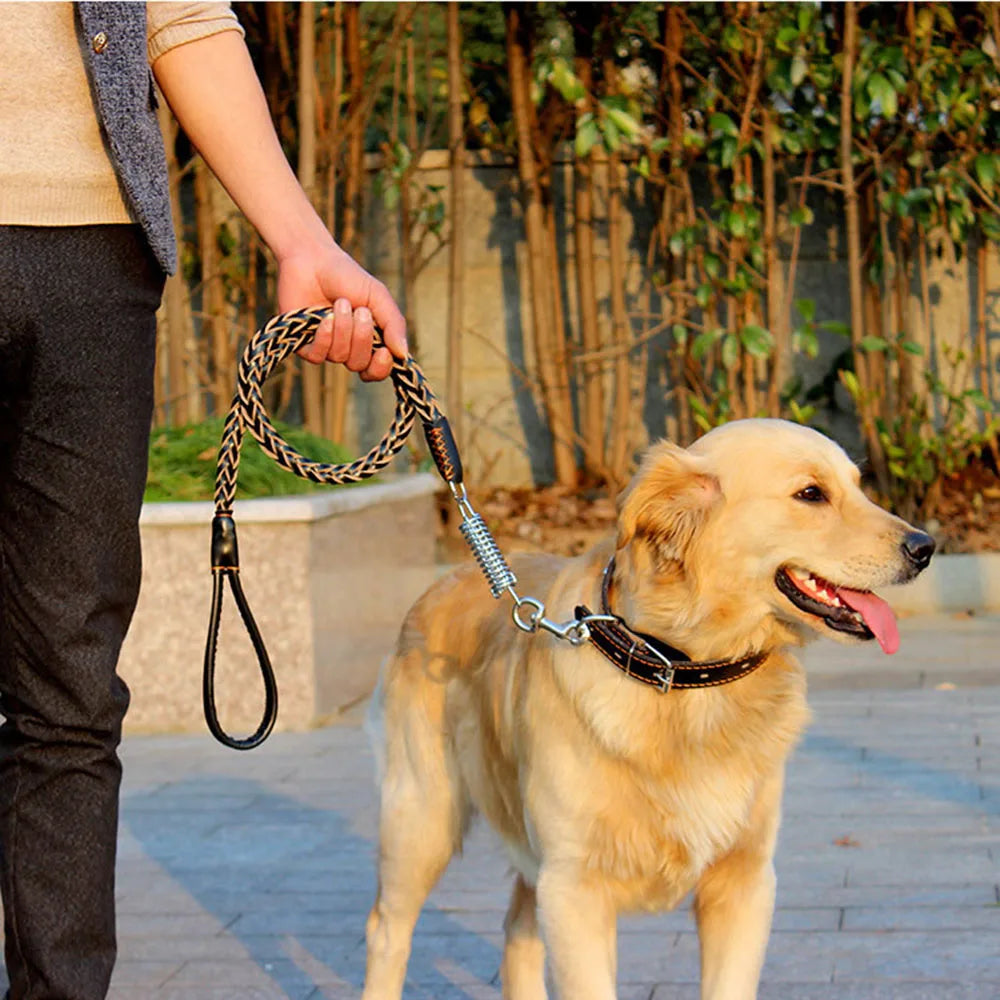 Strong Durable No-Pull Braided Leather Dog Leash
