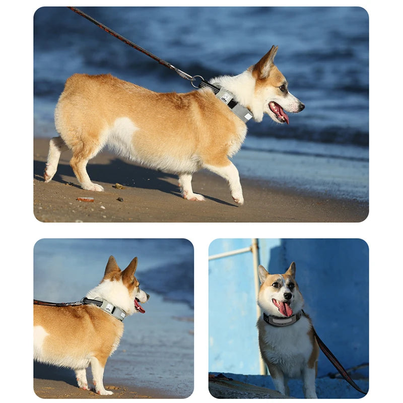 Choke-Free DuPont Reflective Adjustable Dog Collar