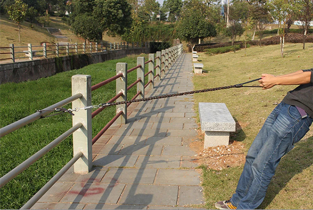 Strong Durable No-Pull Braided Leather Dog Leash