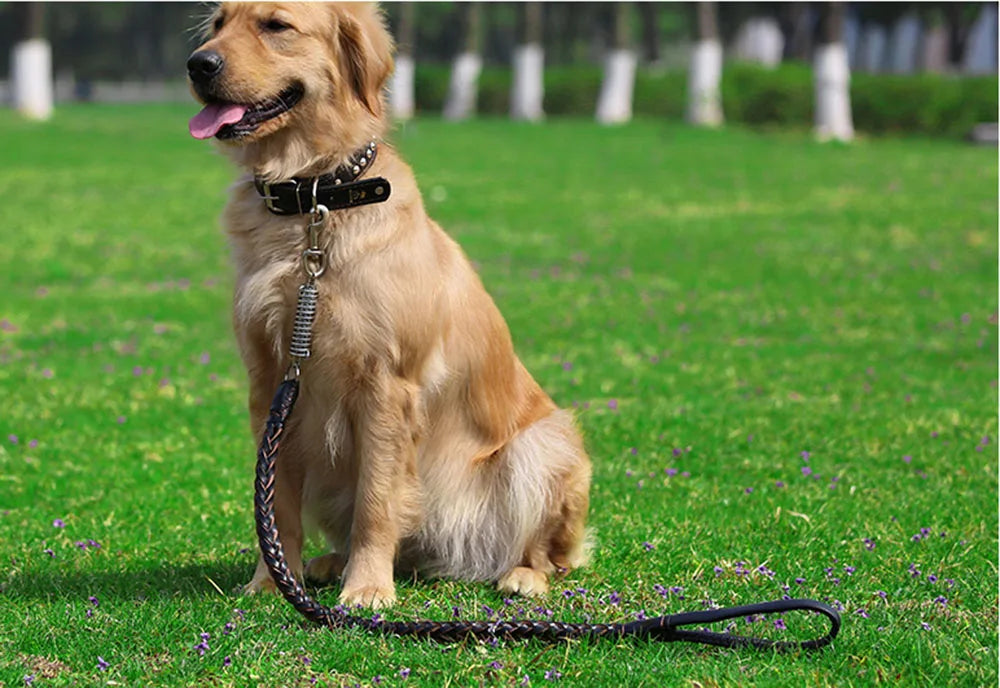 Strong Durable No-Pull Braided Leather Dog Leash
