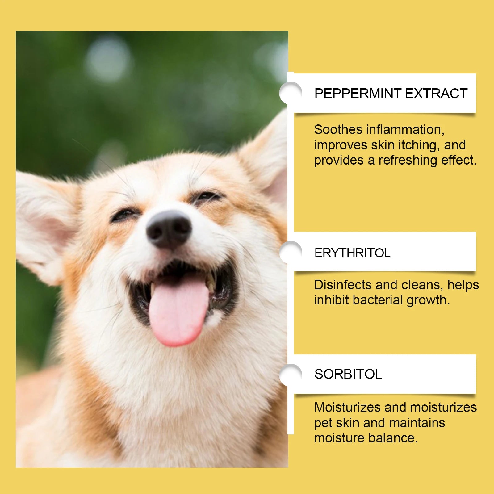 Natural Anti-Inflammatory Pet Yeast Infection Herbal Supplement Drops