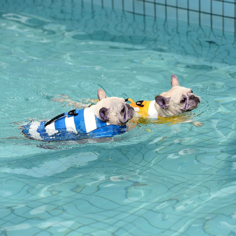 Superior Buoyancy Pet Dog Life Preserver