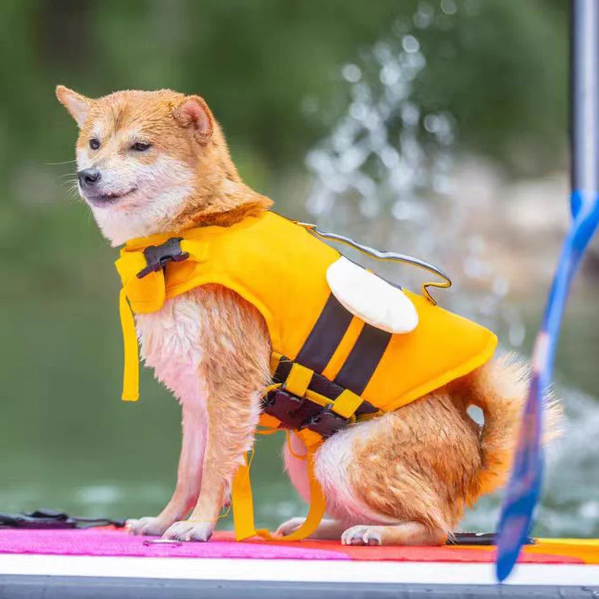 Reflective Adjustable Dog Flotation Life Vest