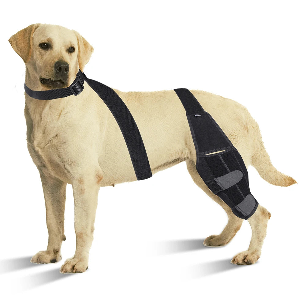 Adjustable Support Pet Knee Pads