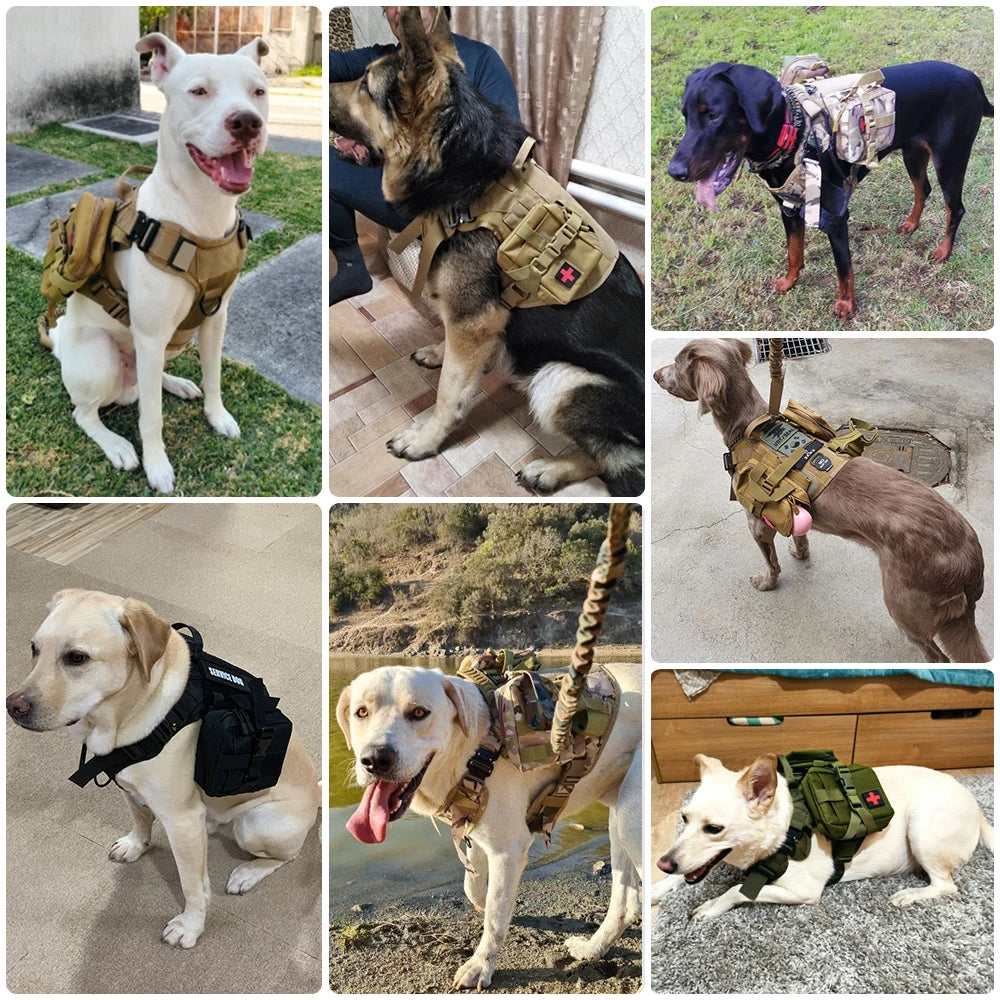 Military Style Dog Collar + Harness + Leash Accessory Set
