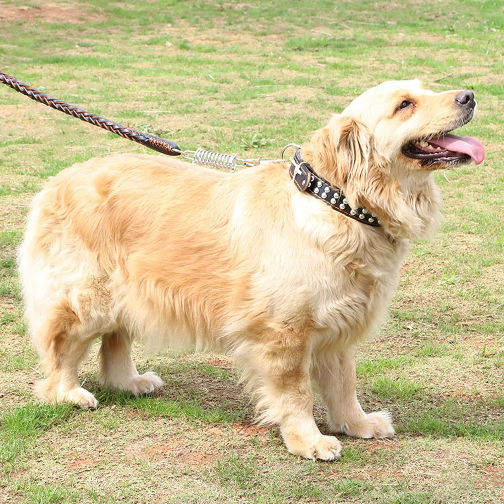 Strong Durable No-Pull Braided Leather Dog Leash