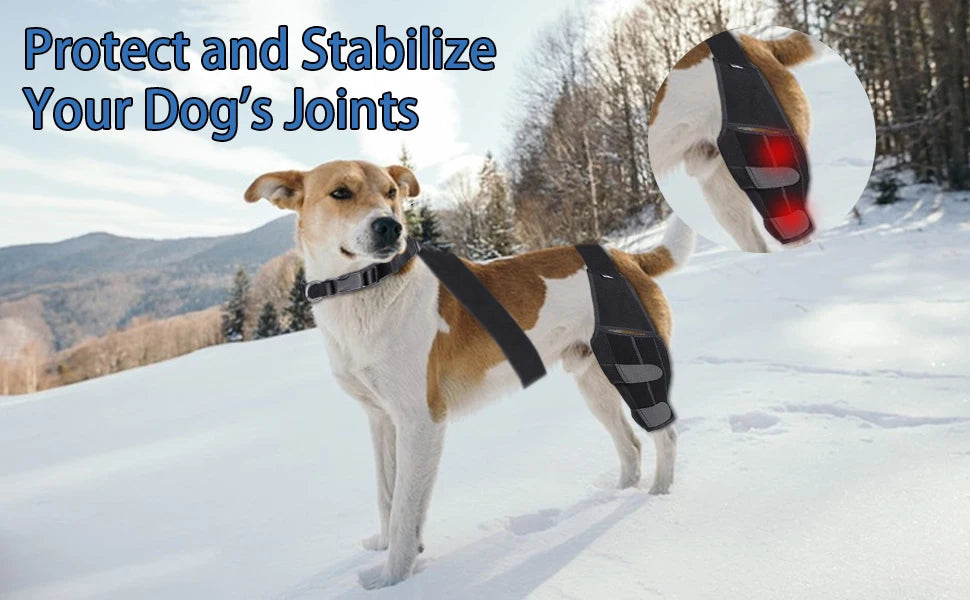 Adjustable Support Pet Knee Pads