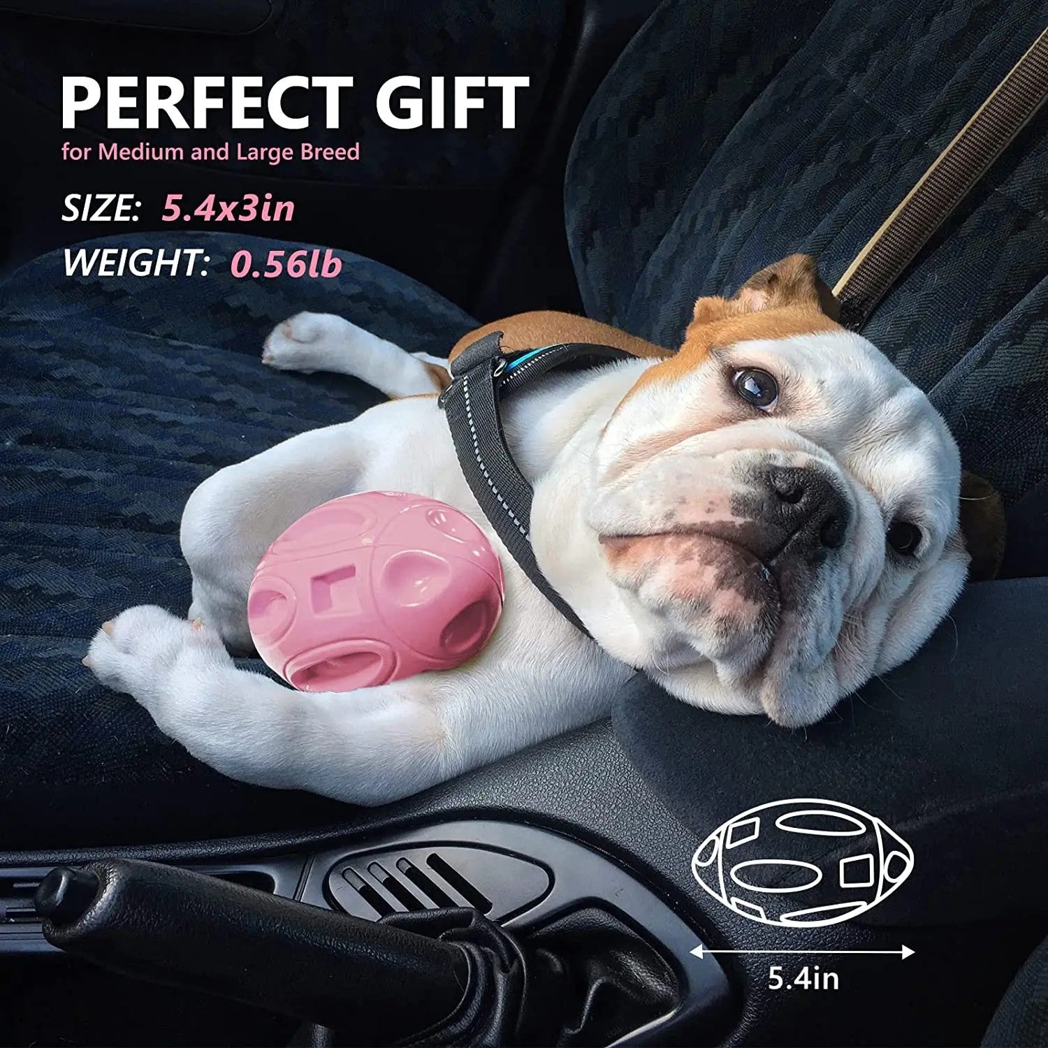 Ultra-Durable Rubber Squeaky Chew & Fetch Dog Ball