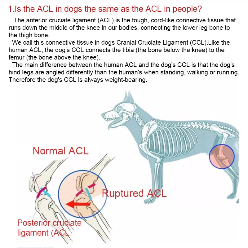 Adjustable Support Pet Knee Pads
