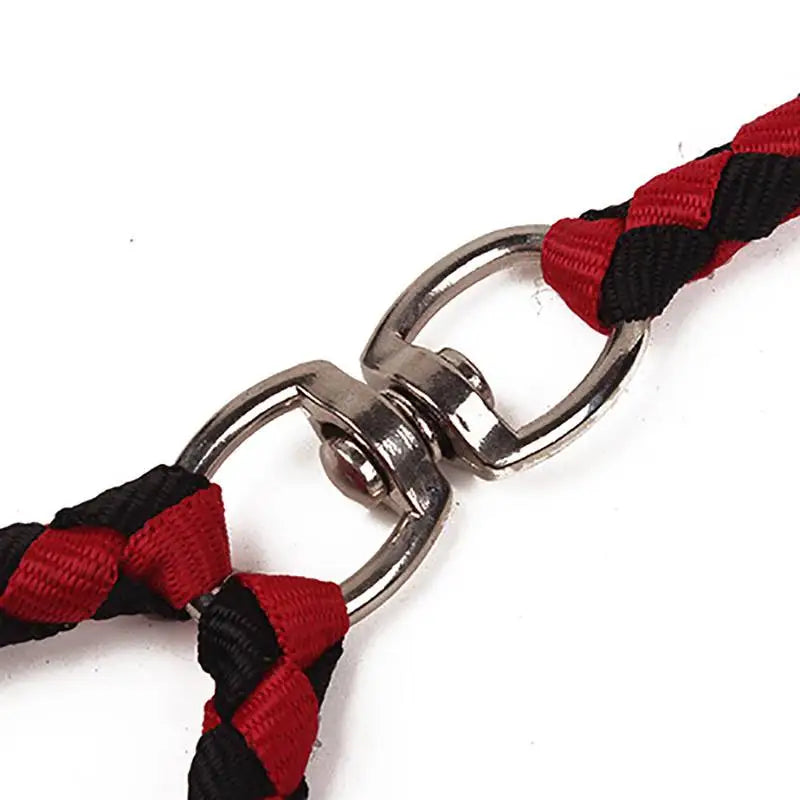 Double Dog Leash w/ 2-Way Couplers & Padded Handle