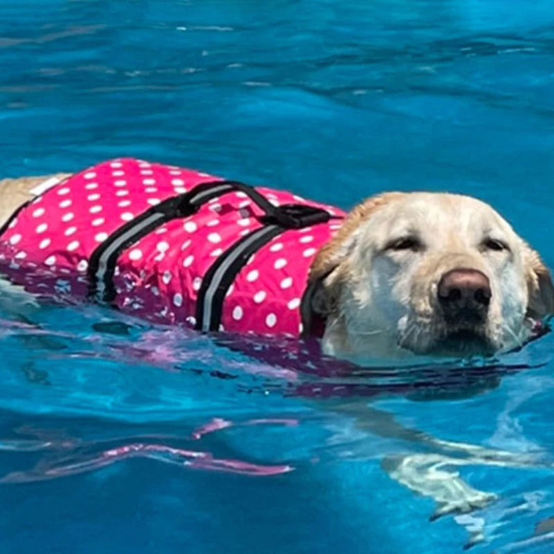 Summer Reflective Adjustable Dog Life Jacket