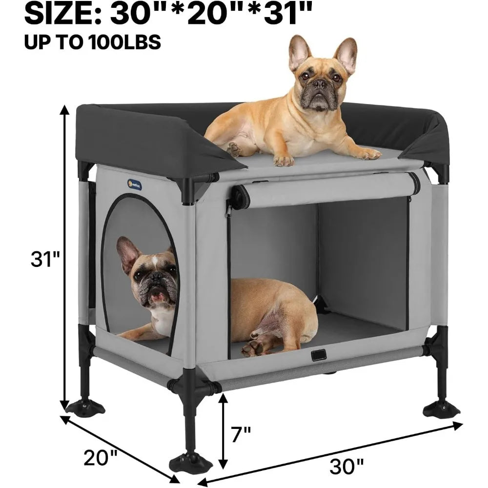 2-Tier Pet Bunk Bed Window Perch