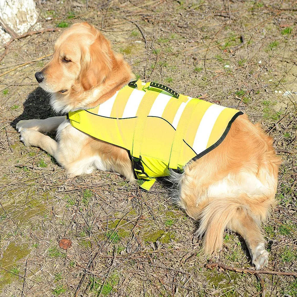 Superior Buoyancy Pet Dog Life Preserver