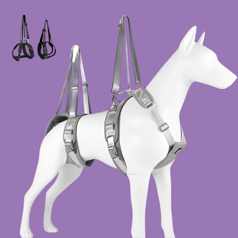 Assisted Support Split Dog Harness