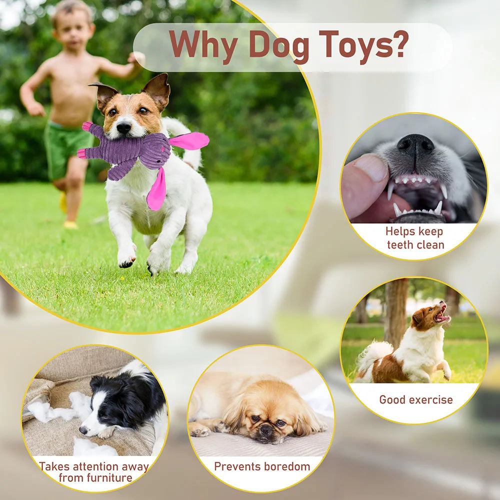 5PC Set Plush Pet Squeaky Toys