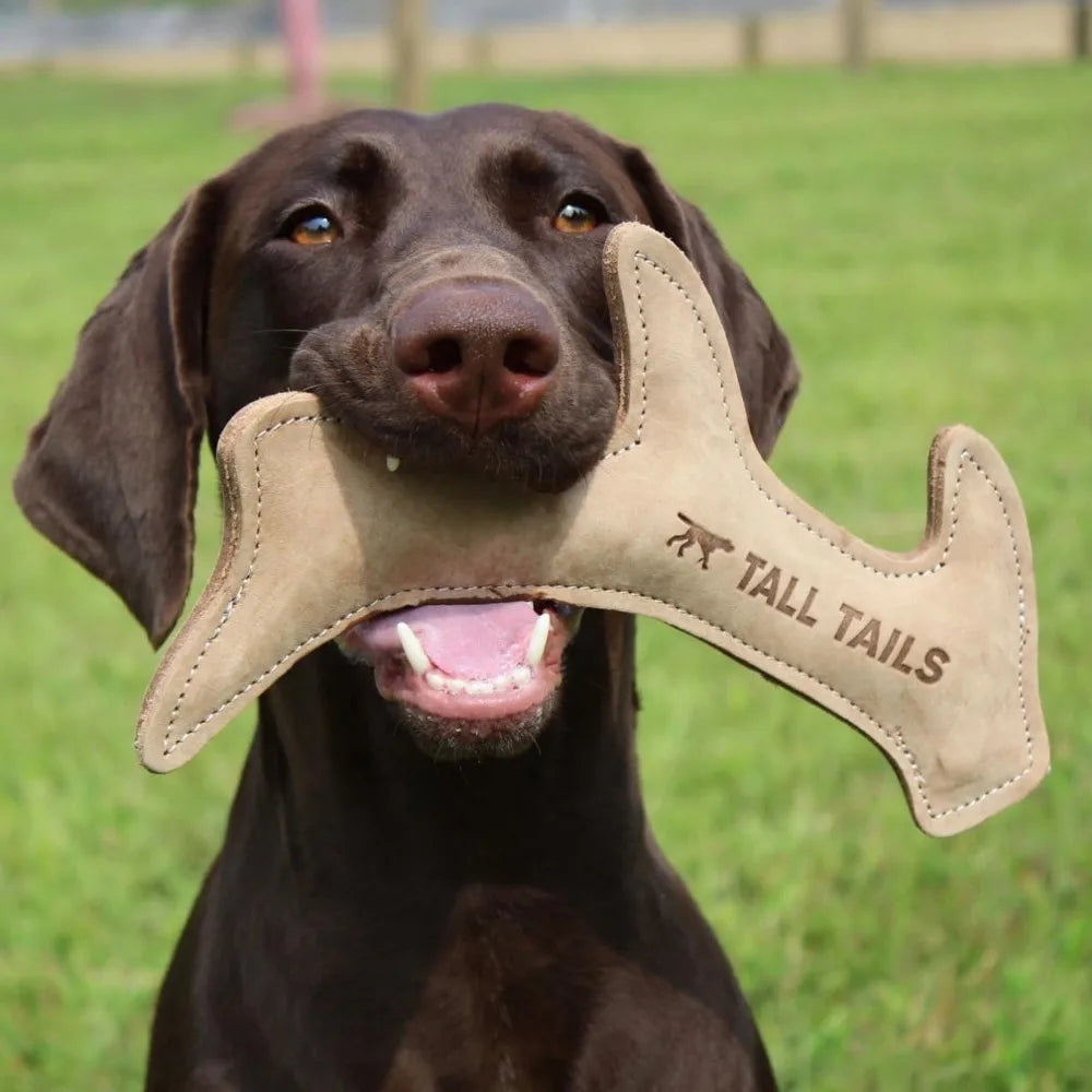 Tall Tails Natural Leather Antler Dog Fetch Toy