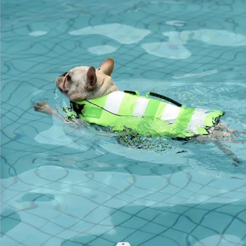 Superior Buoyancy Pet Dog Life Preserver
