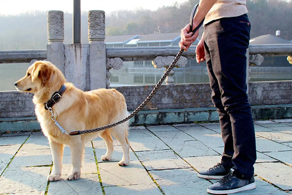 Strong Durable No-Pull Braided Leather Dog Leash