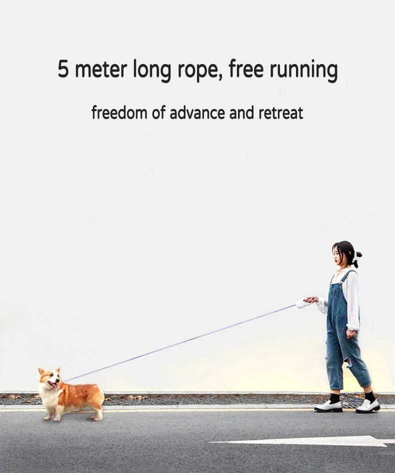 Versatile LED Retractable Lighted Leash