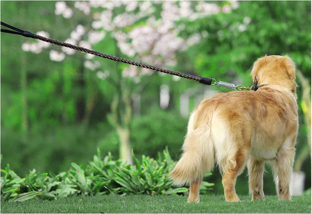 Strong Durable No-Pull Braided Leather Dog Leash