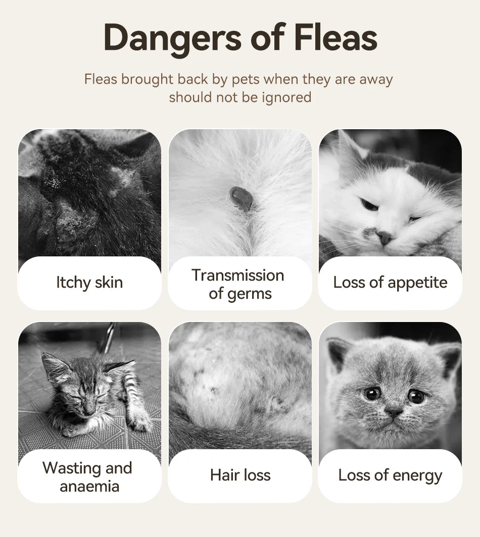 Electric Flea & Lice Removal Comb