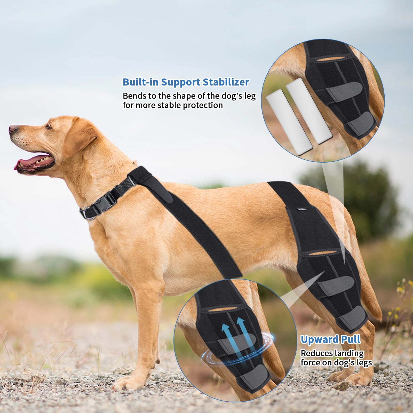 Adjustable Support Pet Knee Pads