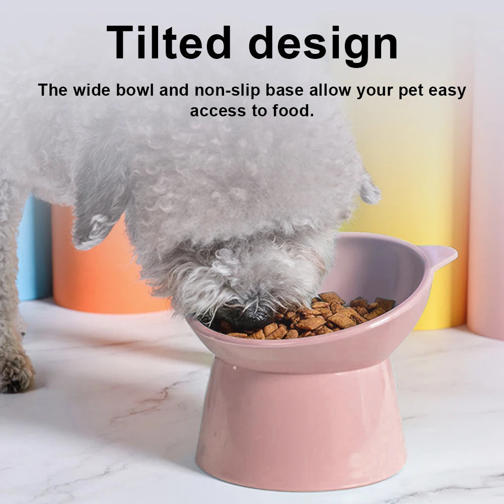 Tilted Ergonomic Raised Pet Food Bowl