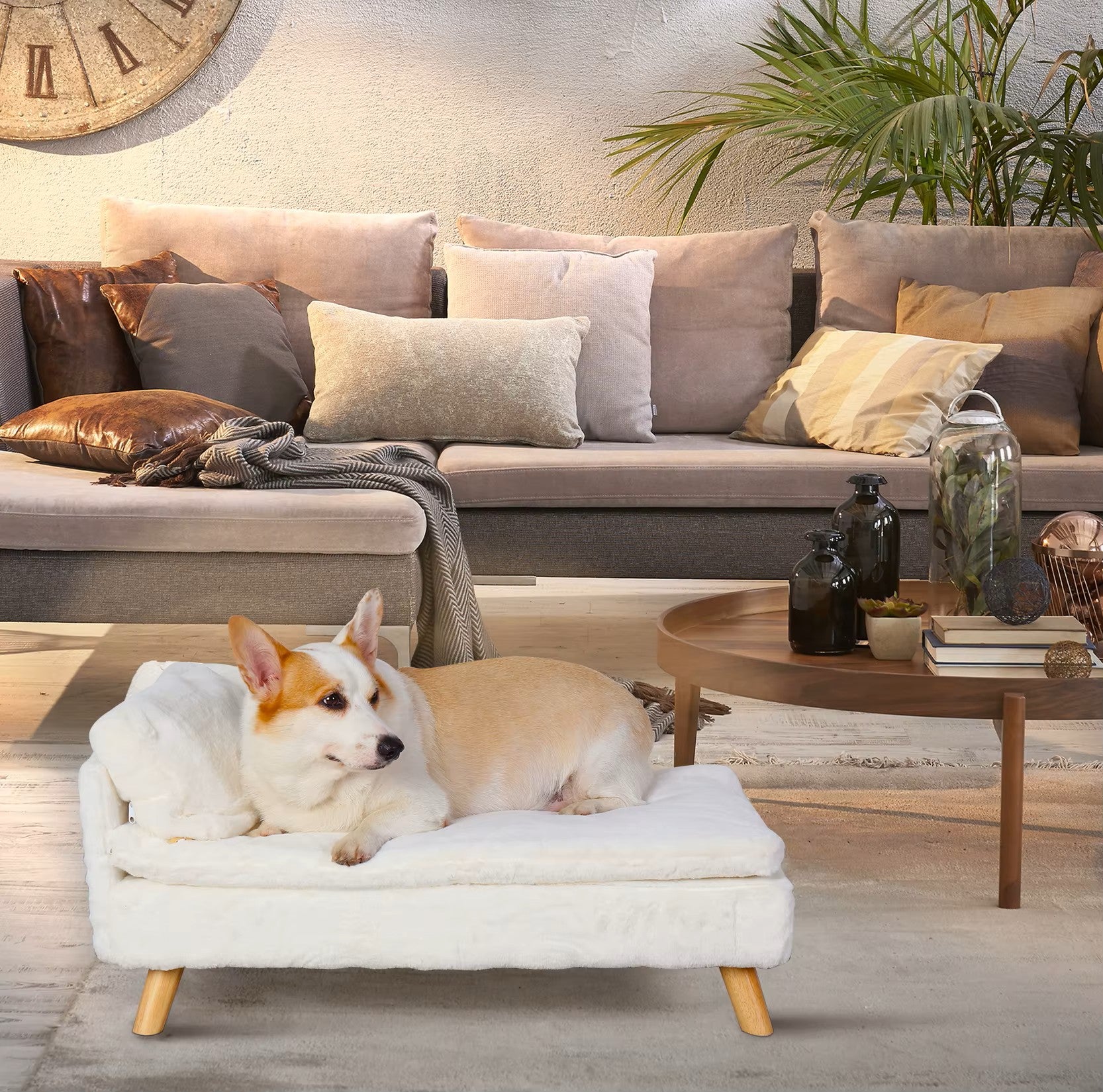 Elevated Plush Pet Lounge Sofa