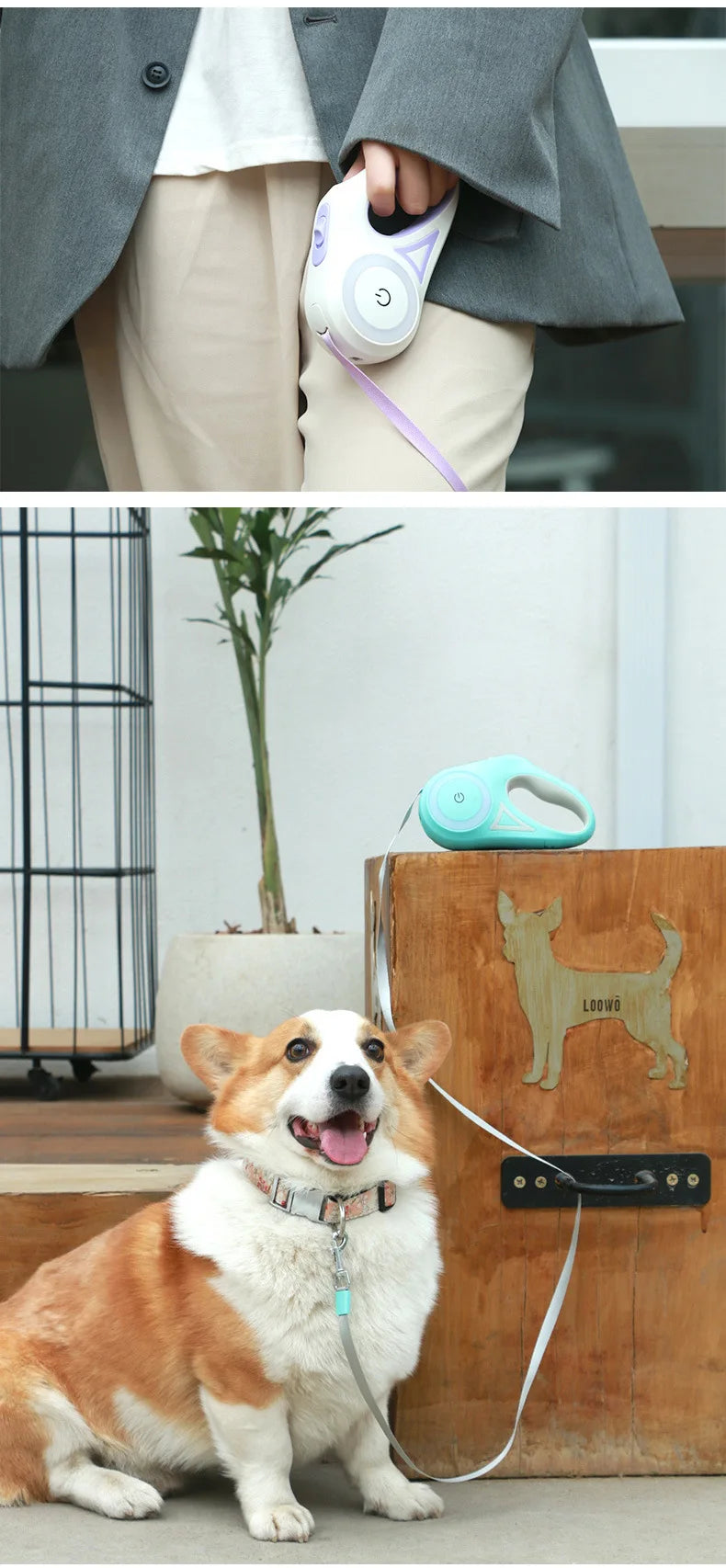 LED Luminous Automatic Retractable Dog Leash