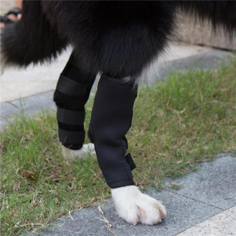 2PC Dog Joint Brace Bandage Wrap