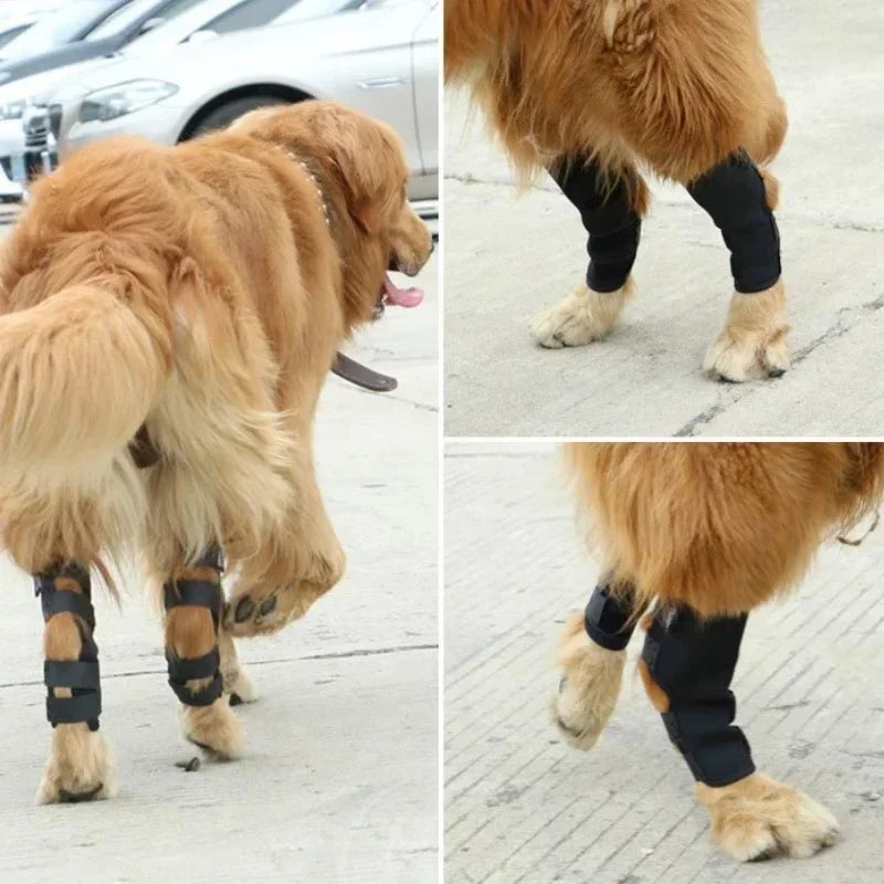 2PC Dog Joint Brace Bandage Wrap