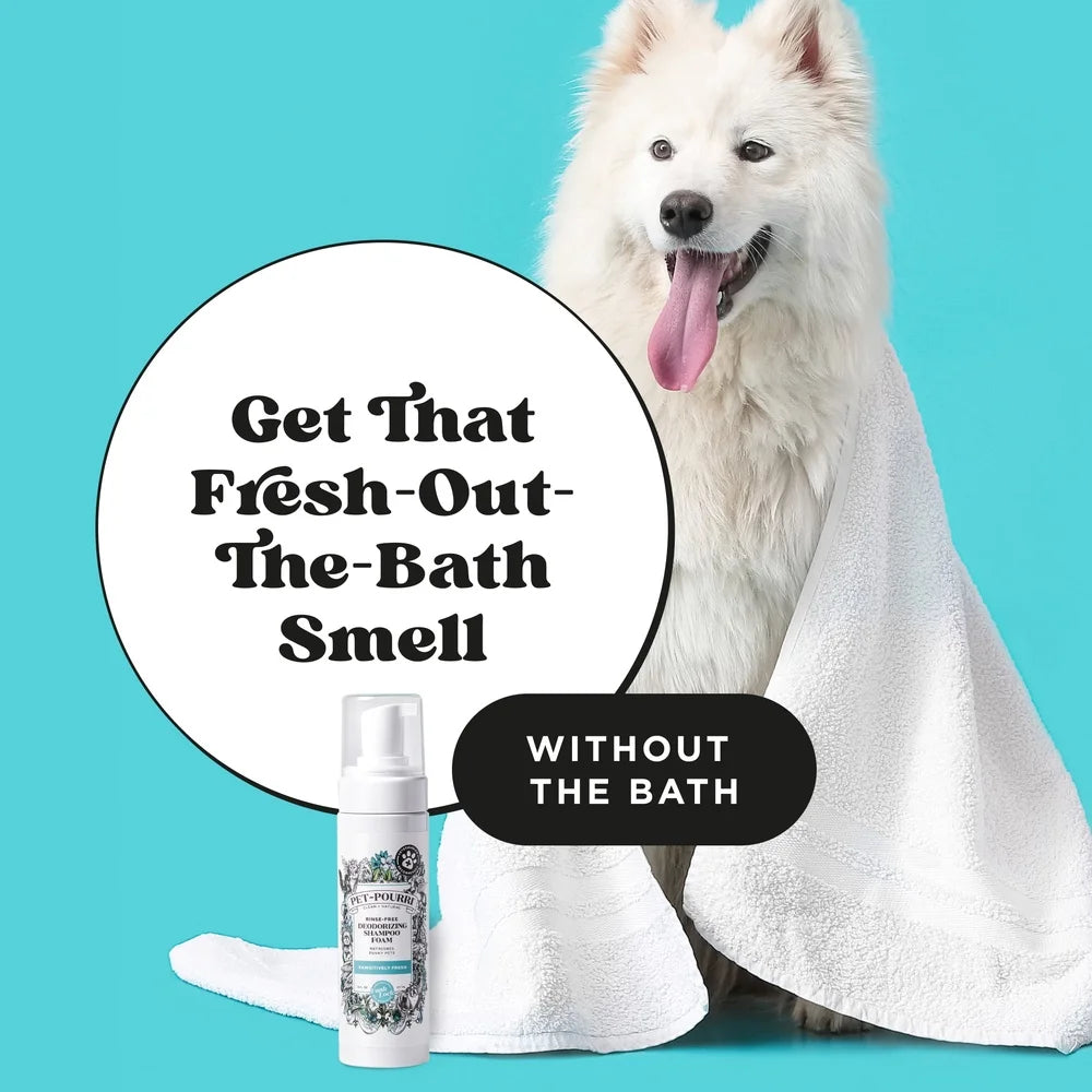 Deodorizing Waterless No-Rinse Dog Foam Shampoo