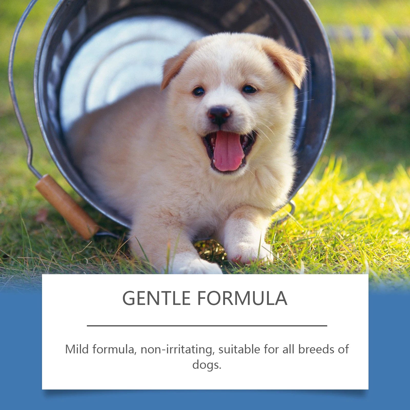 Pet Anti-Microbial Hot Spot Fur Spray