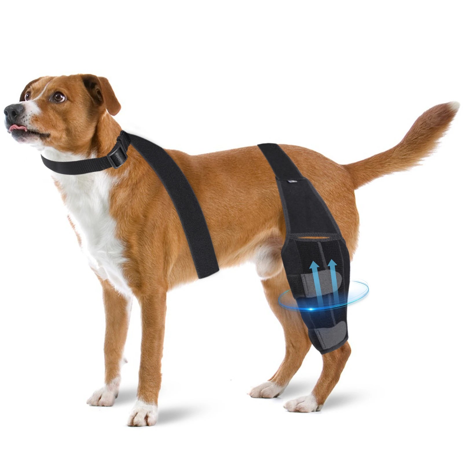 Adjustable Support Pet Knee Pads